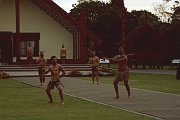 Te Whakarewarewa