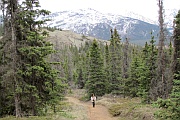 Sheep Creek Trail