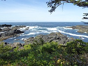 Ucluelet – Wild Pacific Trail