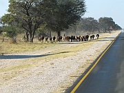 An der B8 vor Rundu