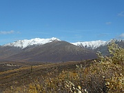 Tombstone Range Viewpoint