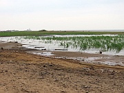 Great Slave Lake Beach