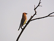 Saskatoon Island Provincial Park