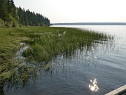 Musreau Lake Provincial Park