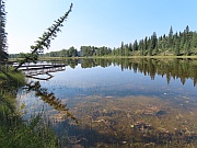 Hinton – The Beaver Boardwalk