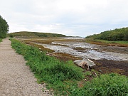 Brønnøy – Torghattan