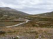 Dovrefjell – Hjerkinn